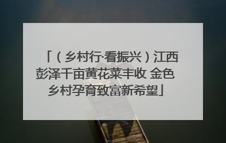 （乡村行·看振兴）江西彭泽千亩黄花菜丰收 金色乡村孕育致富新希望