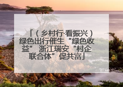 （乡村行·看振兴）绿色出行催生“绿色收益” 浙江瑞安“村企联合体”促共富