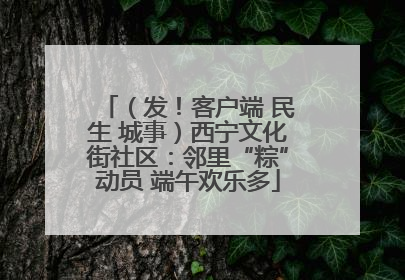 （发！客户端 民生 城事）西宁文化街社区：邻里“粽”动员 端午欢乐多