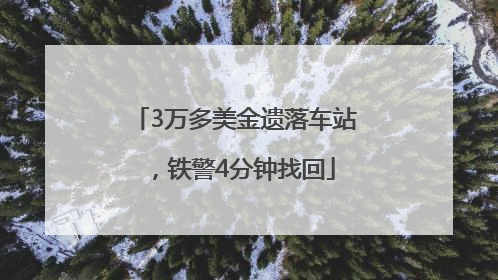 3万多美金遗落车站，铁警4分钟找回