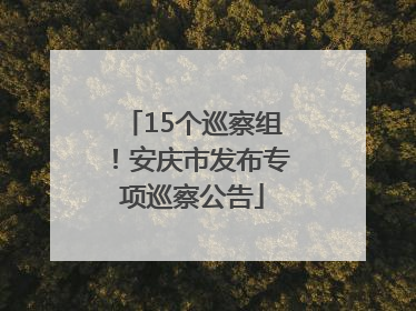 15个巡察组！安庆市发布专项巡察公告
