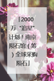 2000万“追星”计划！南京陨石馆（筹）全球采购陨石