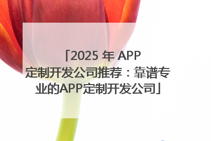 2025 年 APP 定制开发公司推荐：靠谱专业的APP定制开发公司