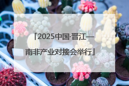 2025中国·晋江—南非产业对接会举行