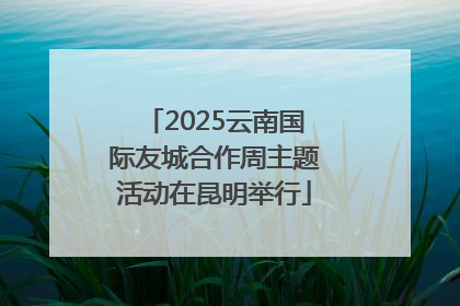 2025云南国际友城合作周主题活动在昆明举行