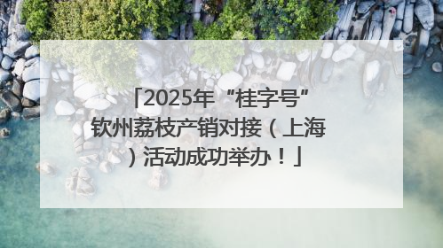 2025年“桂字号”钦州荔枝产销对接（上海）活动成功举办！