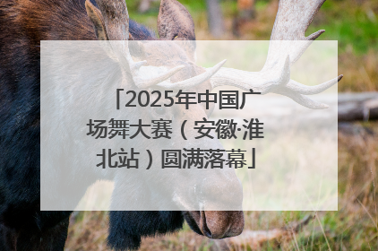 2025年中国广场舞大赛（安徽·淮北站）圆满落幕