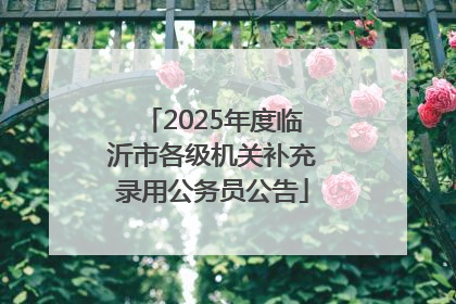 2025年度临沂市各级机关补充录用公务员公告