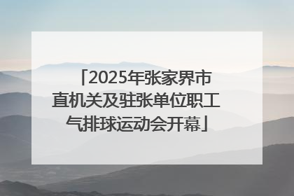 2025年张家界市直机关及驻张单位职工气排球运动会开幕