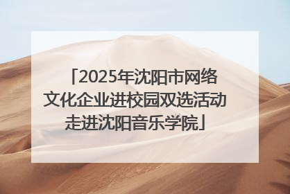 2025年沈阳市网络文化企业进校园双选活动走进沈阳音乐学院