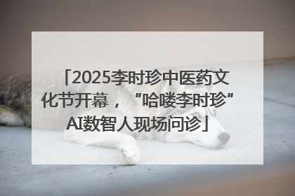 2025李时珍中医药文化节开幕，“哈喽李时珍”AI数智人现场问诊