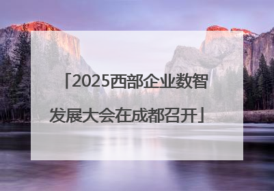 2025西部企业数智发展大会在成都召开