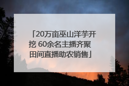 20万亩巫山洋芋开挖 60余名主播齐聚田间直播助农销售
