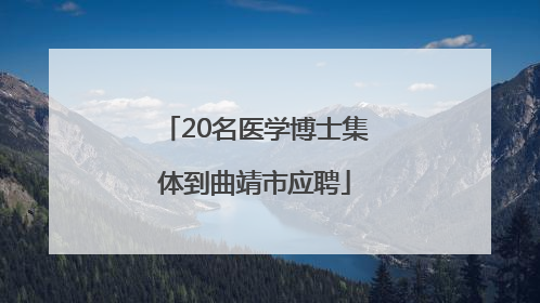 20名医学博士集体到曲靖市应聘