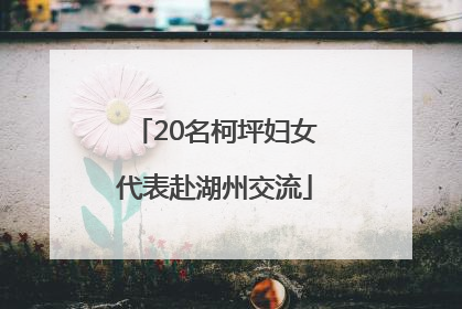 20名柯坪妇女代表赴湖州交流