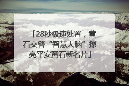 28秒极速处置，黄石交警“智慧大脑”擦亮平安黄石新名片