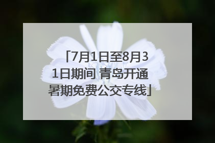 7月1日至8月31日期间 青岛开通暑期免费公交专线