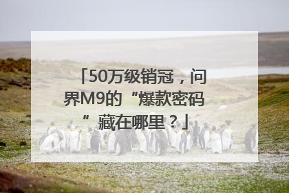 50万级销冠，问界M9的“爆款密码”藏在哪里？