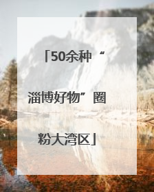 50余种“淄博好物”圈粉大湾区