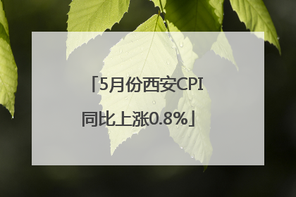 5月份西安CPI同比上涨0.8%