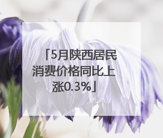 5月陕西居民消费价格同比上涨0.3%