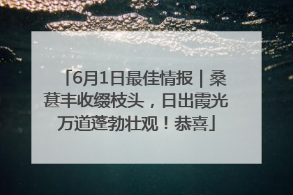 6月1日最佳情报｜桑葚丰收缀枝头，日出霞光万道蓬勃壮观！恭喜