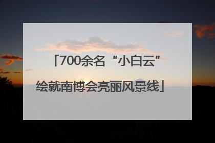 700余名“小白云”绘就南博会亮丽风景线