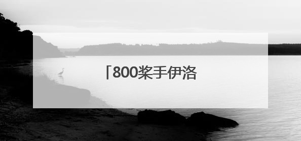 800桨手伊洛河畔龙舟竞渡