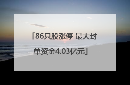 86只股涨停 最大封单资金4.03亿元