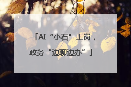 AI“小石”上岗，政务“边聊边办”