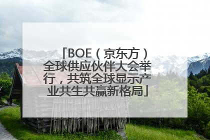 BOE（京东方）全球供应伙伴大会举行，共筑全球显示产业共生共赢新格局