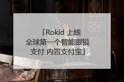 Rokid 上线全球第一个智能眼镜支付 内置支付宝